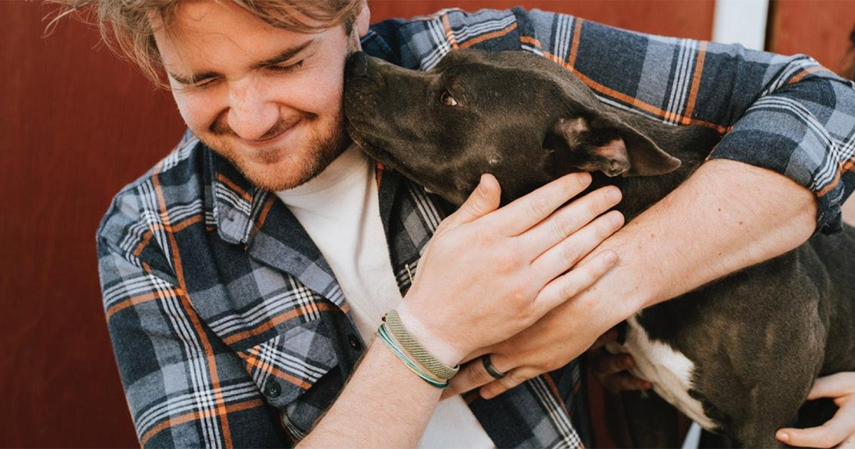 How Pets Can Support a Life of Sobriety